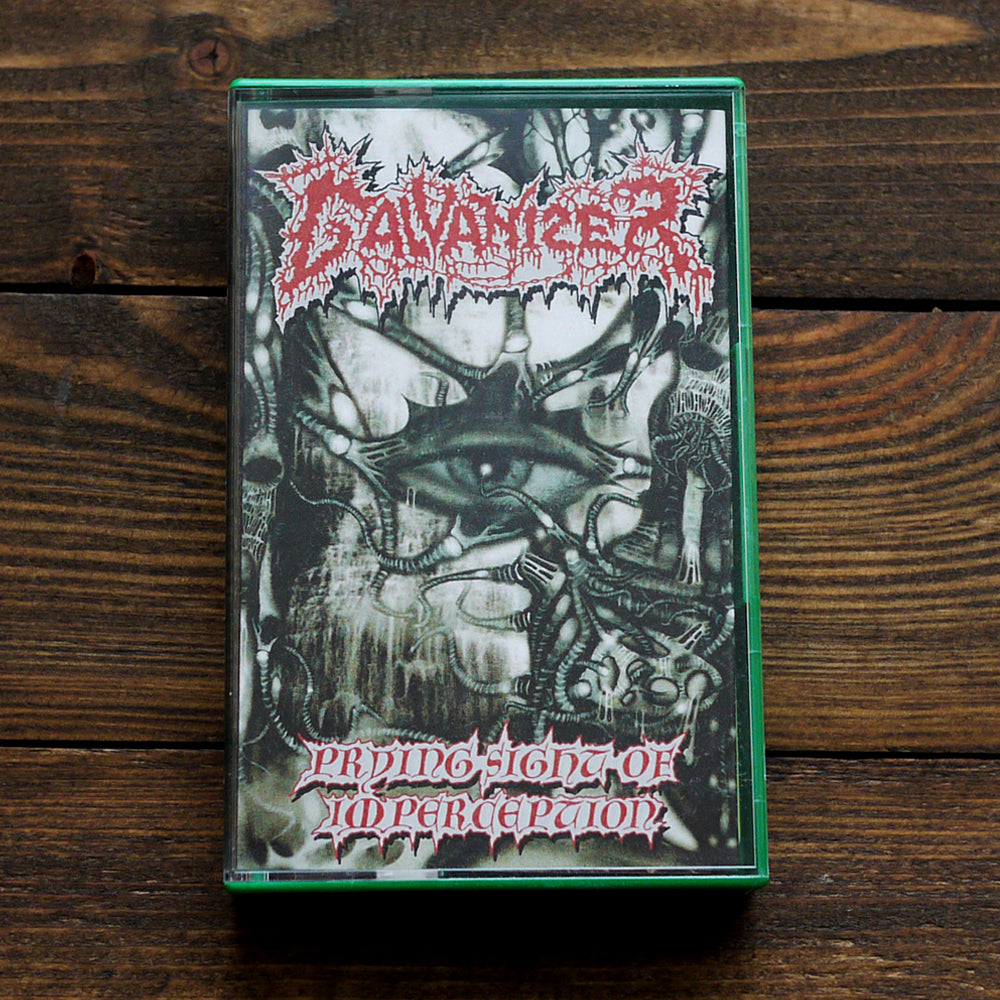 GALVANIZER - PRYING SIGHT OF IMPERCEPTION CS