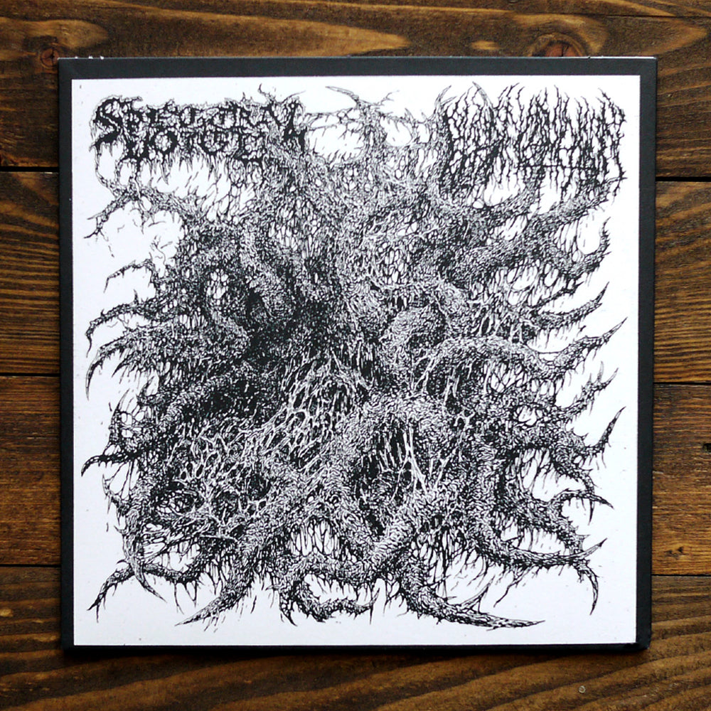 SPECTRAL VOICE & BLOOD INCANTATION SPLIT EP